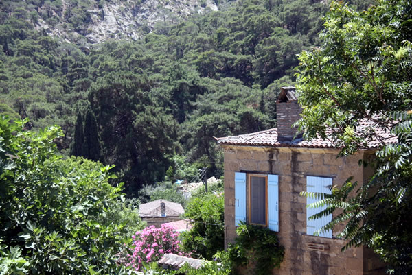 Yeşilyurt Köyü