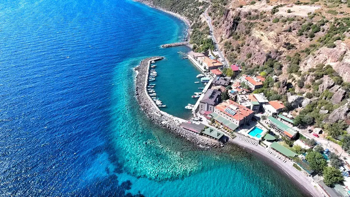  Assos